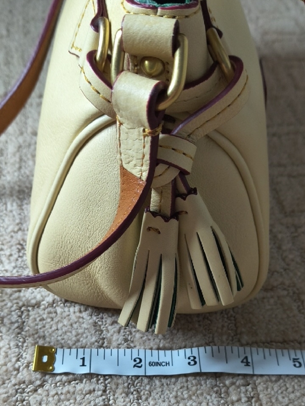 Dooney & Bourke Mini Zip Florentine Crossbody In Bone - Picture 9 of 12